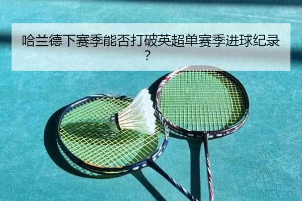 哈兰德下赛季能否打破英超单赛季进球纪录？